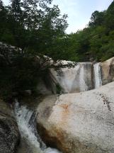 探索生活中的职业病,如何应对?,星球平台带您开启无限知识之旅